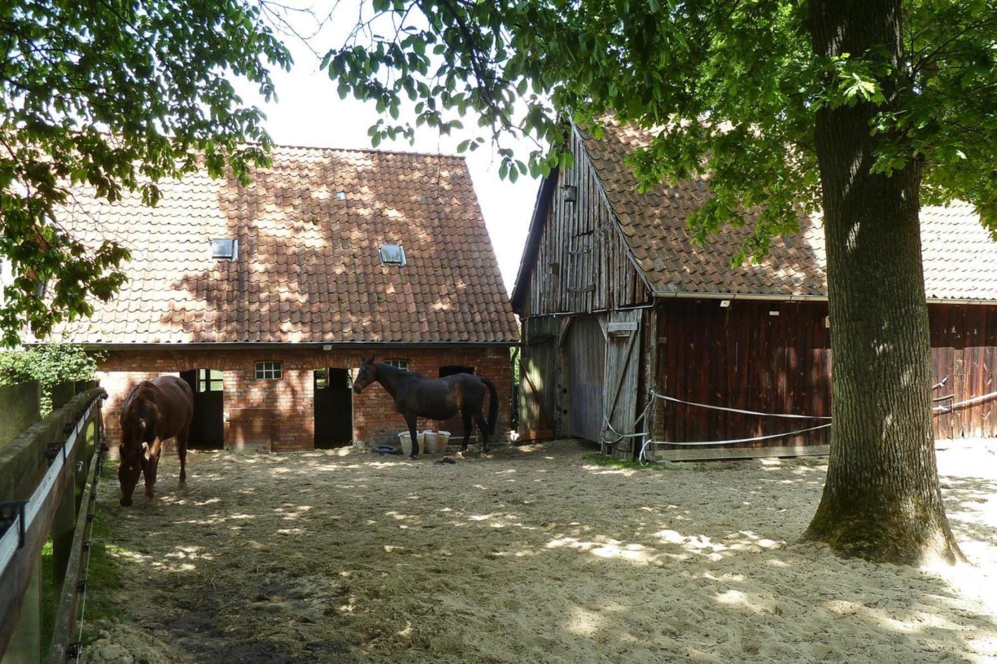 Ferienwohnung In Dorfmark Extérieur photo